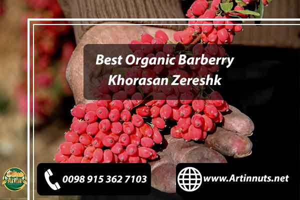 Best Organic Barberry