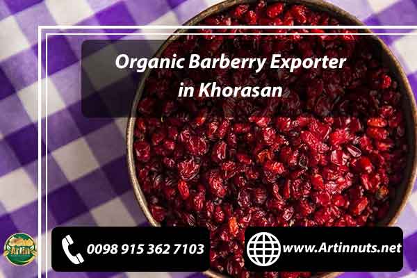 Organic Barberry Exporter