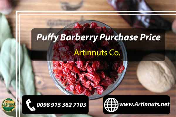 Puffy Barberry Purchase Price