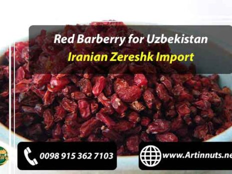 Red Barberry for Uzbekistan