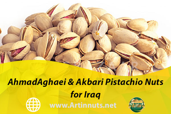 AhmadAghaei & Akbari Pistachio Nuts for Iraq