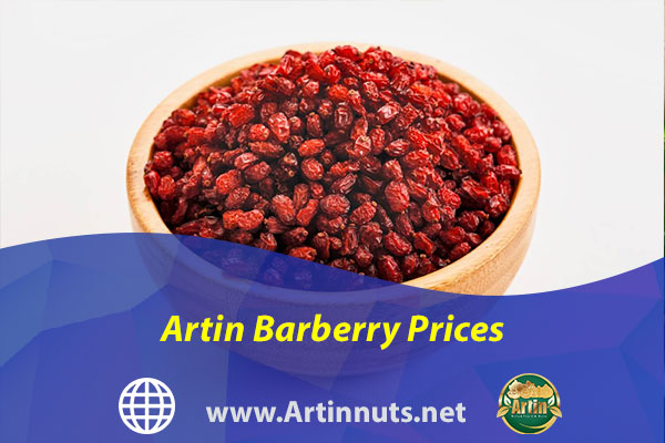 Artin Barberry Prices