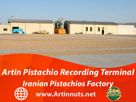 Artin Pistachio Recording Terminal | Iranian Pistachios Factory