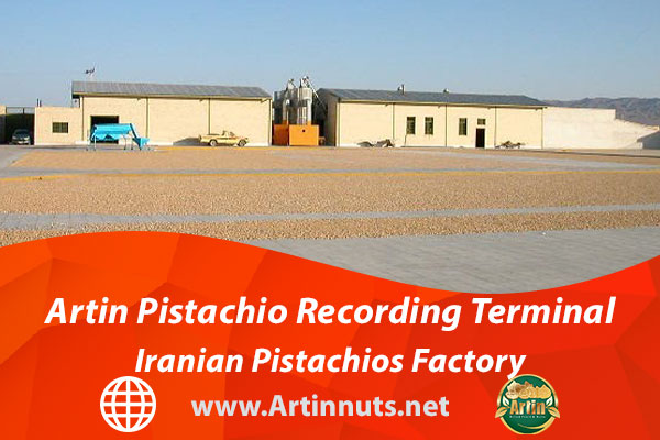 Artin Pistachio Recording Terminal | Iranian Pistachios Factory