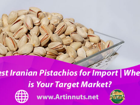 Best Iranian Pistachios for Import | Where is Your Target Market?