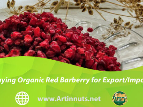 Buying Organic Red Barberry for Export/Import