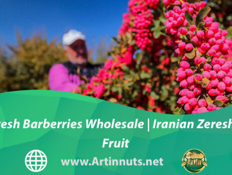 Fresh Barberries Wholesale | Iranian Zereshk Fruit