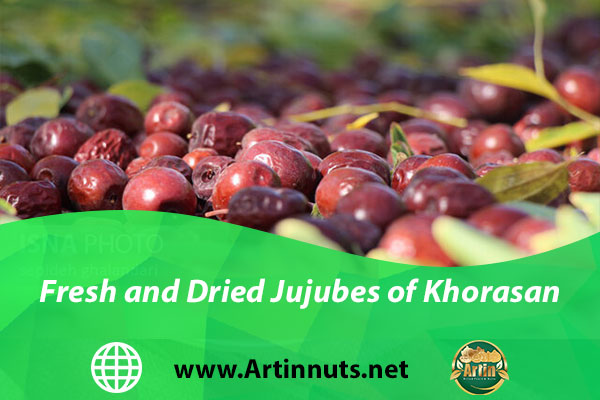 Fresh and Dried Jujubes of Khorasan