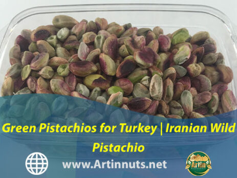 Green Pistachios for Turkey | Iranian Wild Pistachio