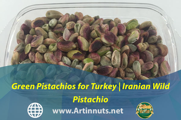 Green Pistachios for Turkey | Iranian Wild Pistachio