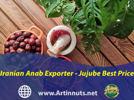Iranian Anab Exporter - Jujube Best Price