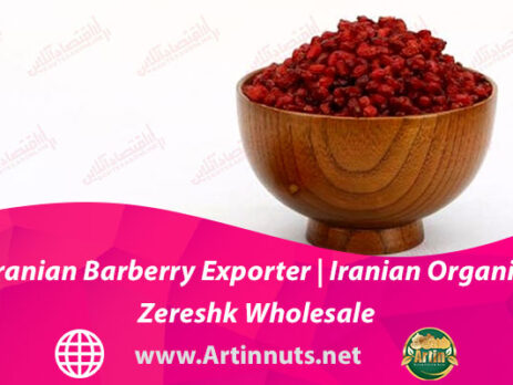 Iranian Barberry Exporter | Iranian Organic Zereshk Wholesale