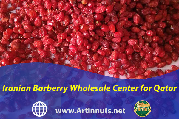 Iranian Barberry Wholesale Center for Qatar