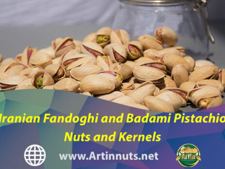 Iranian Fandoghi and Badami Pistachio Nuts and Kernels