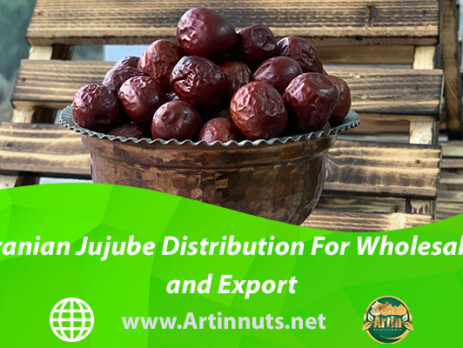 Iranian Jujube Distribution For Wholesale and Export