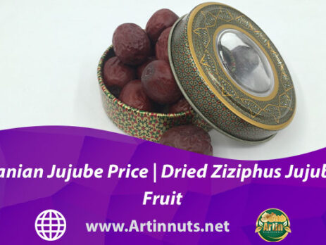 Iranian Jujube Price | Dried Ziziphus Jujuba Fruit