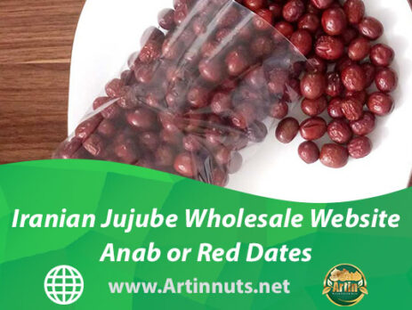Iranian Jujube Wholesale Website | Anab or Red Dates