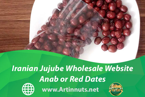 Iranian Jujube Wholesale Website | Anab or Red Dates