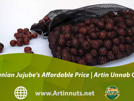 Iranian Jujube's Affordable Price | Artin Unnab Co.