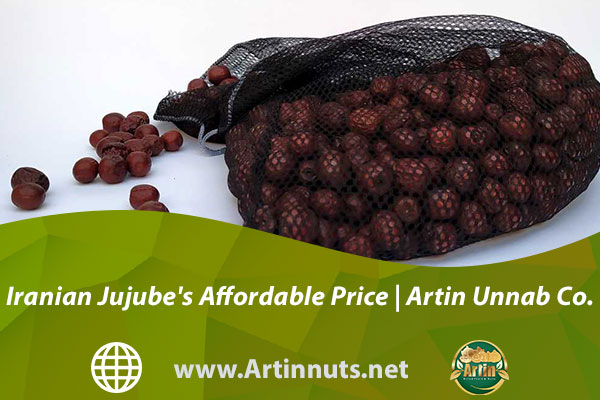 Iranian Jujube's Affordable Price | Artin Unnab Co.