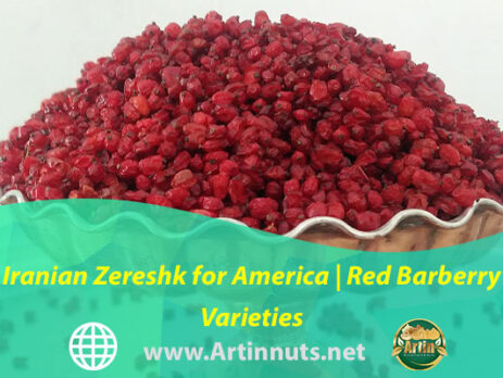Iranian Zereshk for America | Red Barberry Varieties