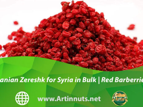 Iranian Zereshk for Syria in Bulk | Red Barberries