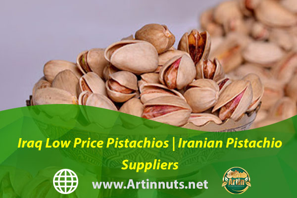 Iraq Low Price Pistachios | Iranian Pistachio Suppliers