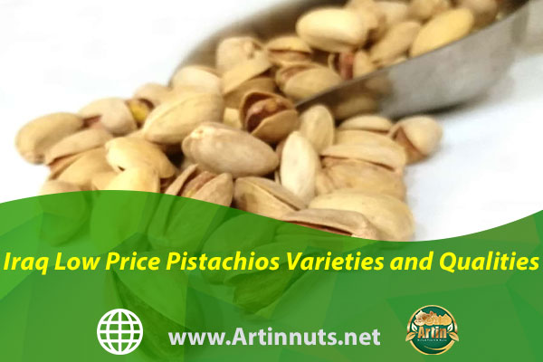 Iraq Low Price Pistachios Varieties and Qualities