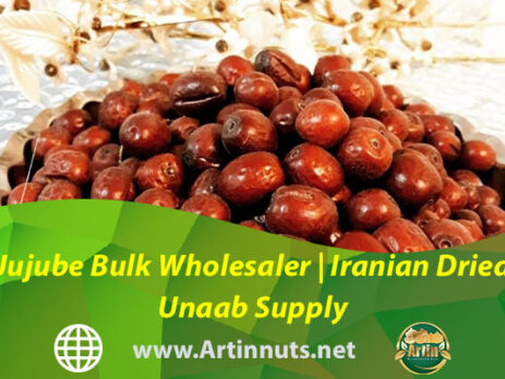 Jujube Bulk Wholesaler | Iranian Dried Unaab Supply