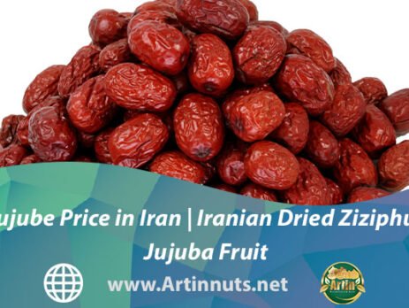 Jujube Price in Iran | Iranian Dried Ziziphus Jujuba Fruit