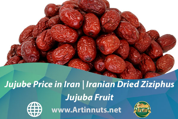Jujube Price in Iran | Iranian Dried Ziziphus Jujuba Fruit