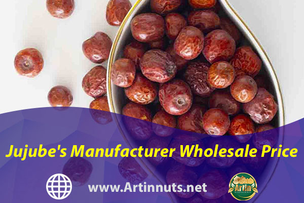 Jujube's Manufacturer Wholesale Price