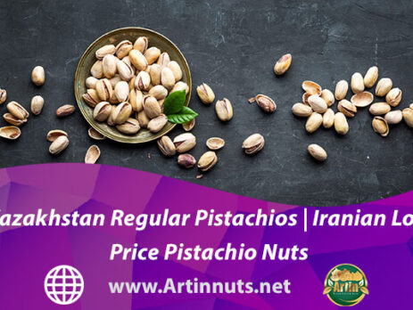 Kazakhstan Regular Pistachios | Iranian Low Price Pistachio Nuts