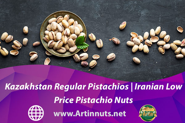 Kazakhstan Regular Pistachios | Iranian Low Price Pistachio Nuts