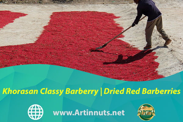 Khorasan Classy Barberry | Dried Red Barberries