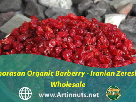 Khorasan Organic Barberry - Iranian Zereshk Wholesale