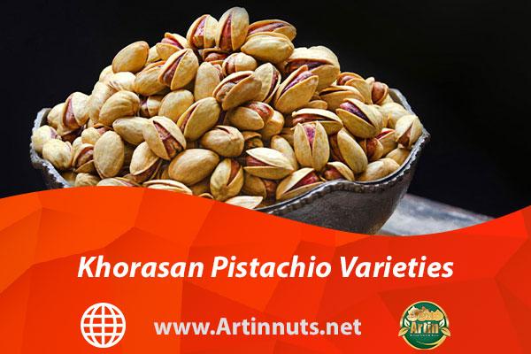 Khorasan Pistachio Varieties