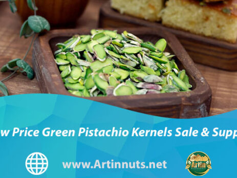 Low Price Green Pistachio Kernels Sale and Supply