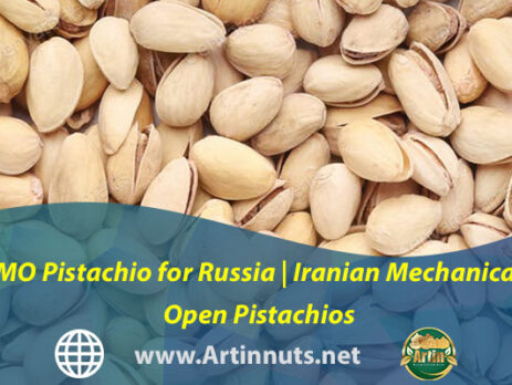 MO Pistachio for Russia | Iranian Mechanical Open Pistachios