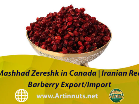 Mashhad Zereshk in Canada | Iranian Red Barberry Export/Import