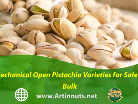 Mechanical Open Pistachio Varieties for Sale in Bulk
