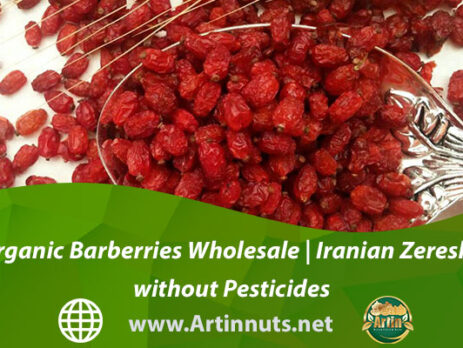 Organic Barberries Wholesale | Iranian Zereshk without Pesticides