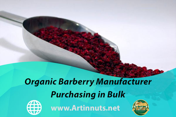 Organic Barberry Manufacturer | Purchasing in Bulk