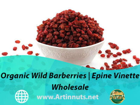 Organic Wild Barberries | Epine Vinette Wholesale