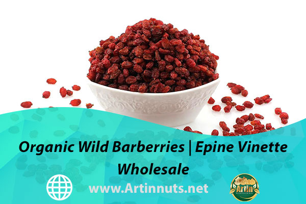 Organic Wild Barberries | Epine Vinette Wholesale