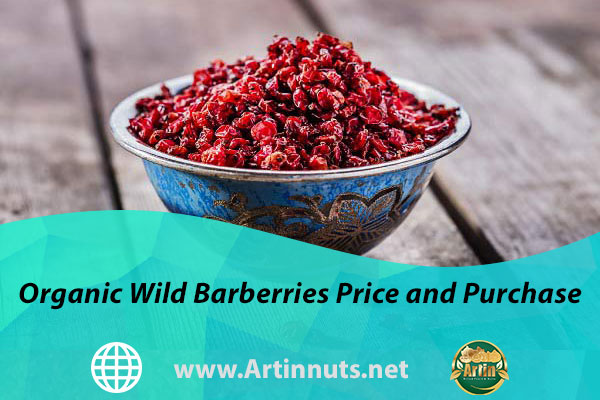 Organic Wild Barberries Price and Purchase