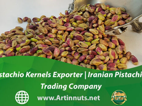 Pistachio Kernels Exporter | Iranian Pistachios Trading Company