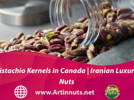 Pistachio Kernels in Canada | Iranian Luxury Nuts