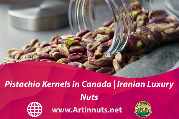 Pistachio Kernels in Canada | Iranian Luxury Nuts