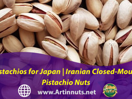 Pistachios for Japan | Iranian Closed-Mouth Pistachio Nuts